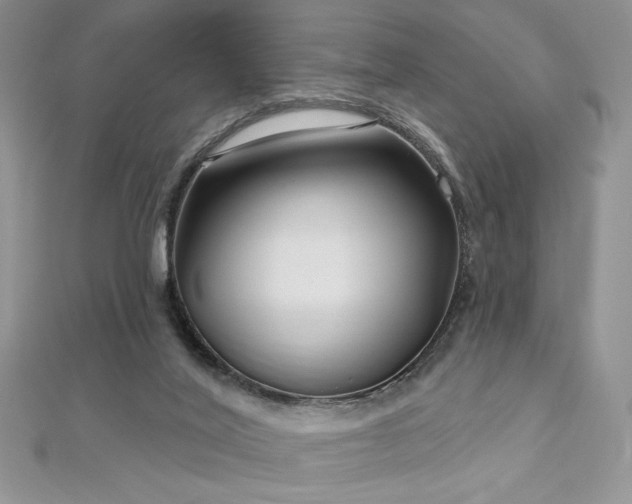 X0000113160020200909041305