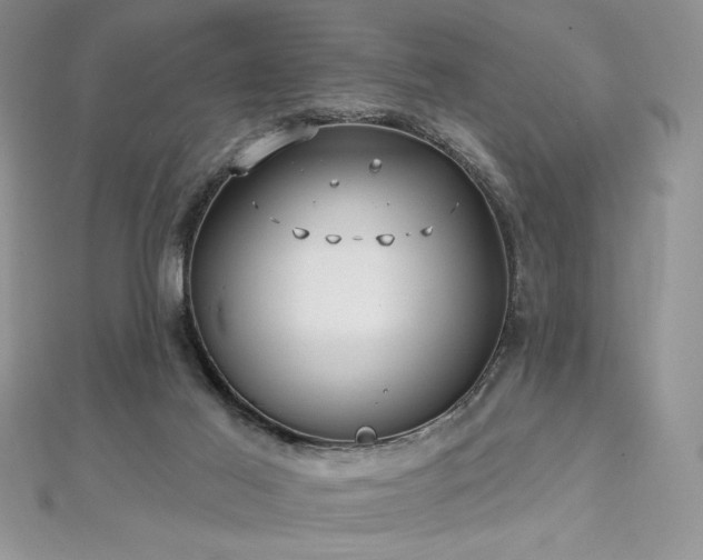 X0000113160021200909041305