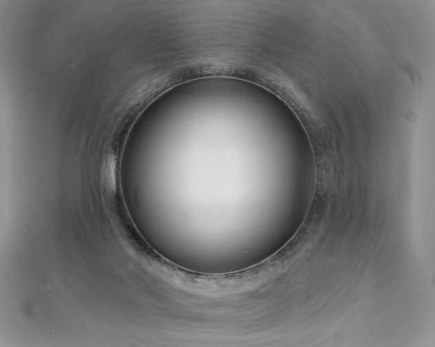 X0000113160022200909041305