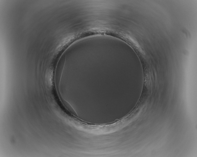 X0000113160023200909041304