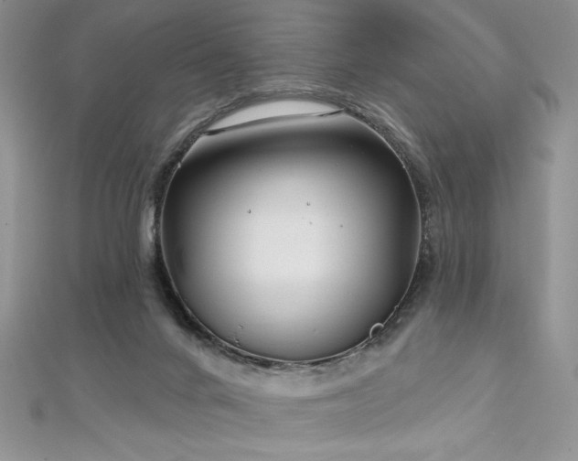 X0000113160024200909041304