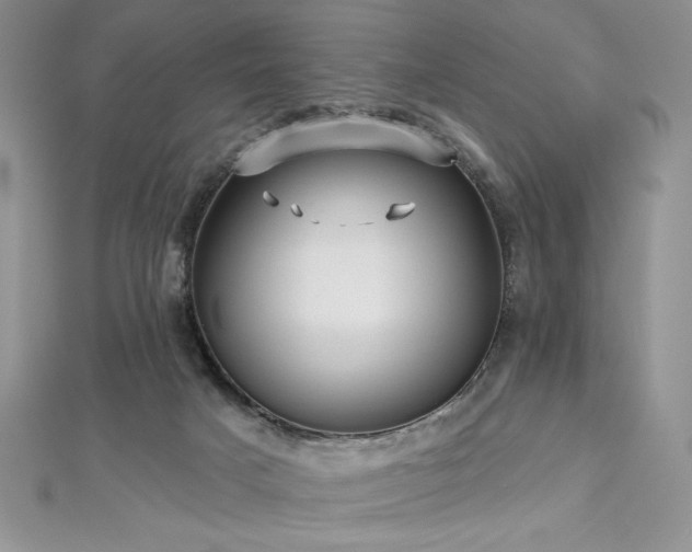 X0000113160025200909041304