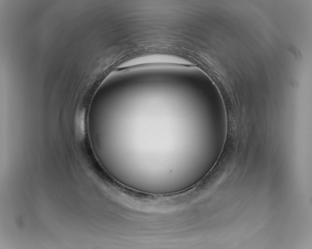 X0000113160028200909041304