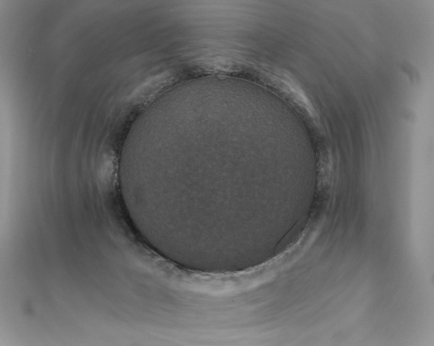 X0000113160029200909041304