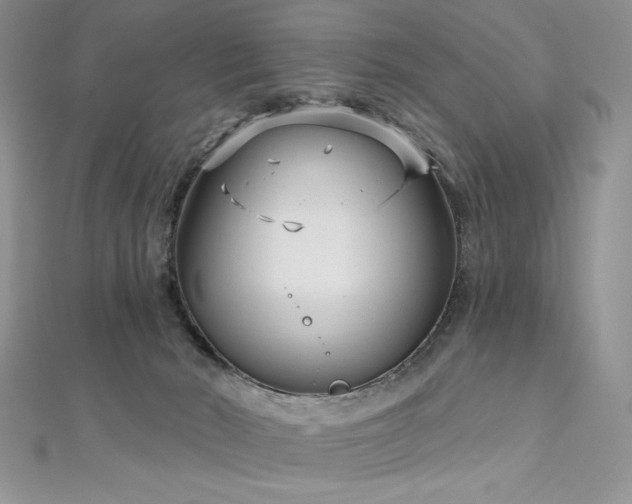 X0000113160030200909041304