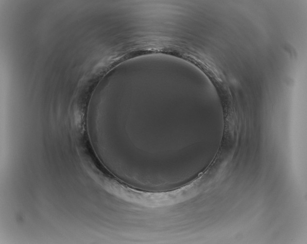 X0000113160031200909041304