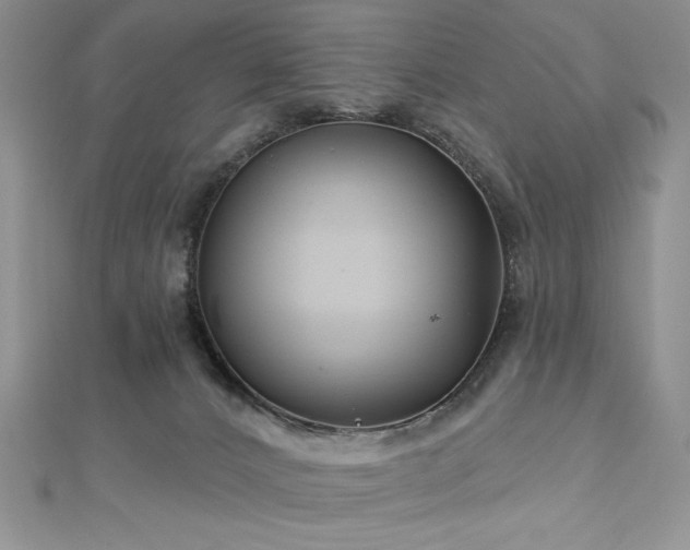 X0000113160032200909041304