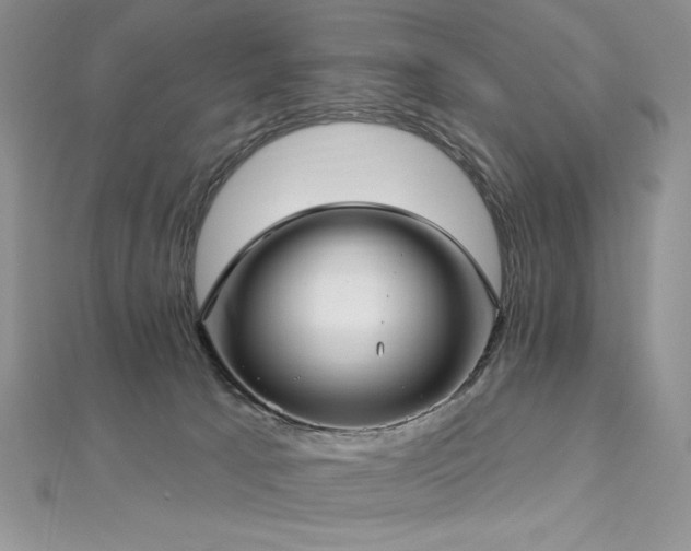 X0000113160033200909041304