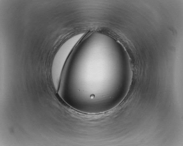 X0000113160035200909041304