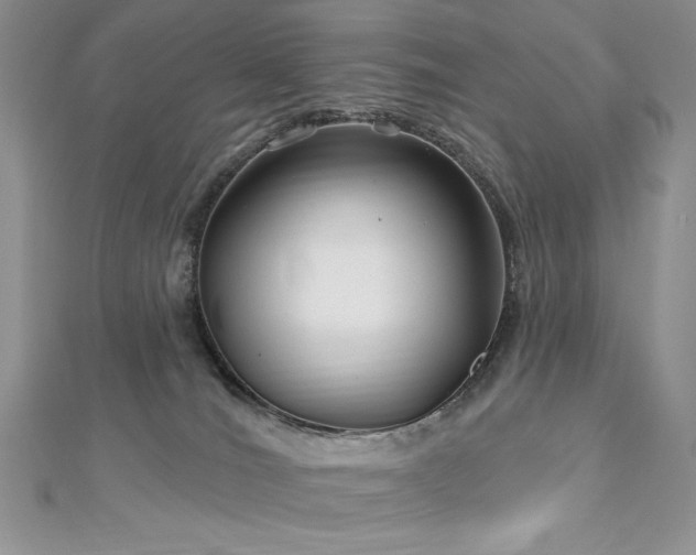 X0000113160036200909041304