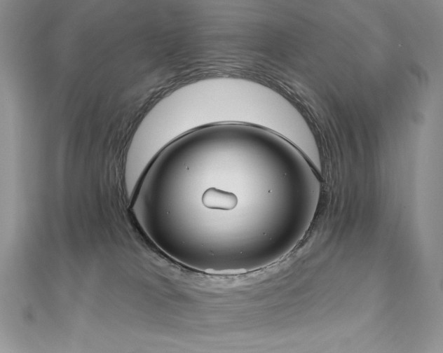 X0000113160037200909041304