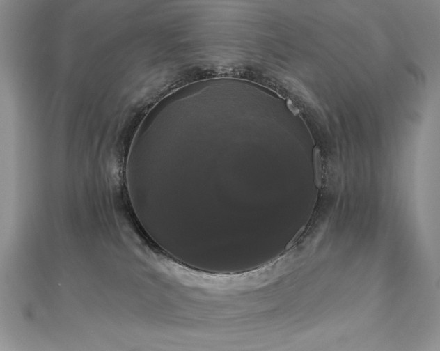 X0000113160039200909041304