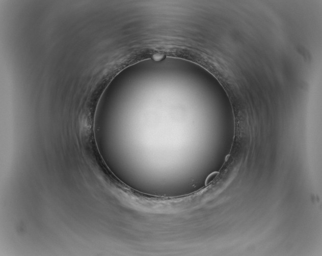 X0000113160040200909041304