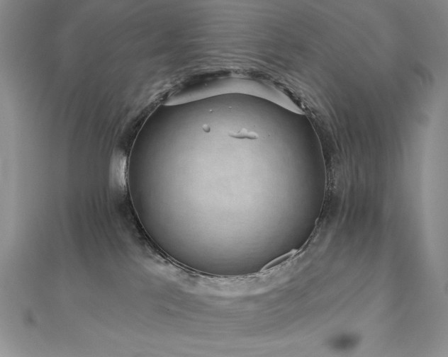 X0000113160041200909041304