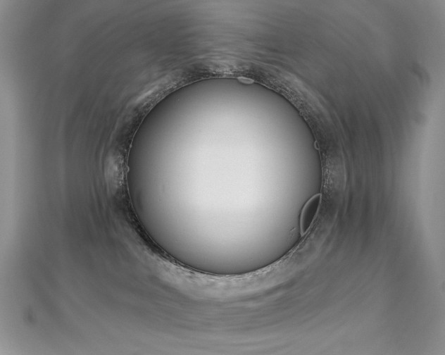 X0000113160043200909041304