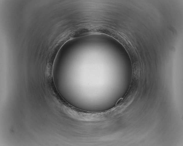 X0000113160044200909041304