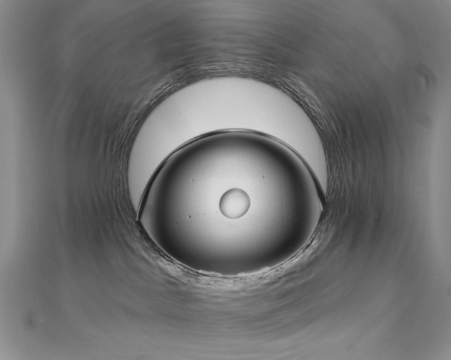 X0000113160045200909041304