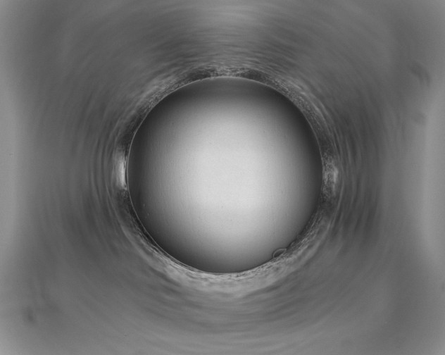 X0000113160046200909041304