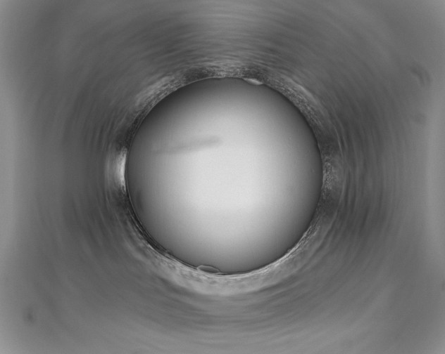 X0000113160047200909041304