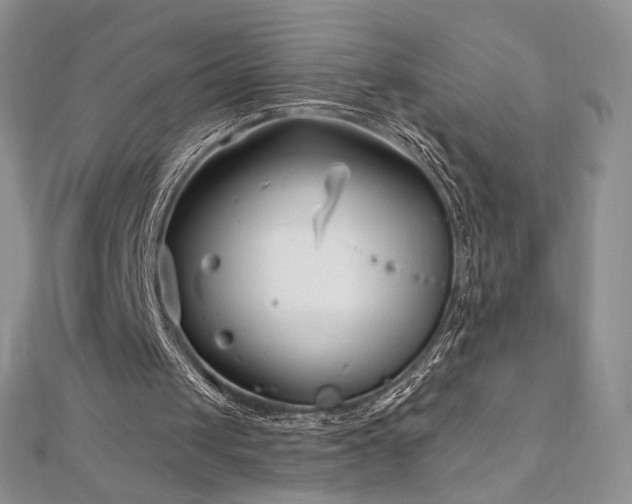 X0000113160049200909041304