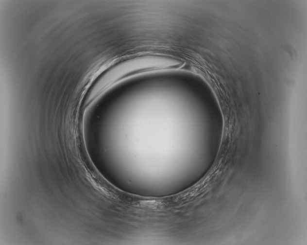 X0000113160050200909041304