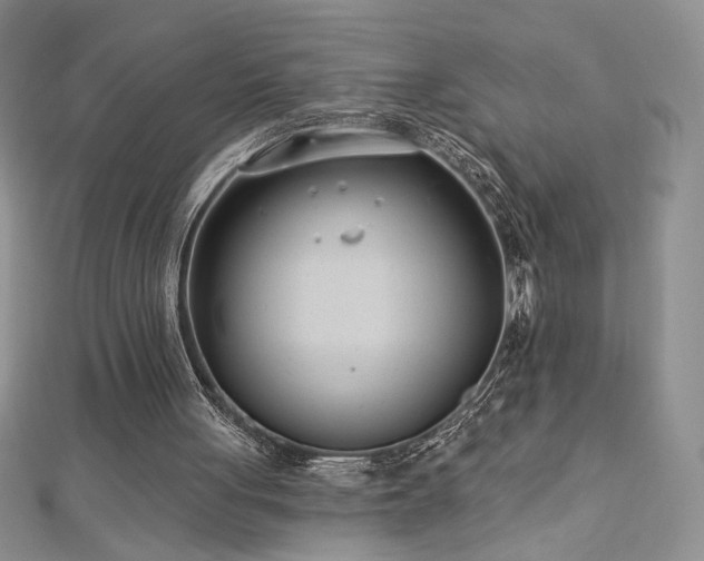 X0000113160051200909041304