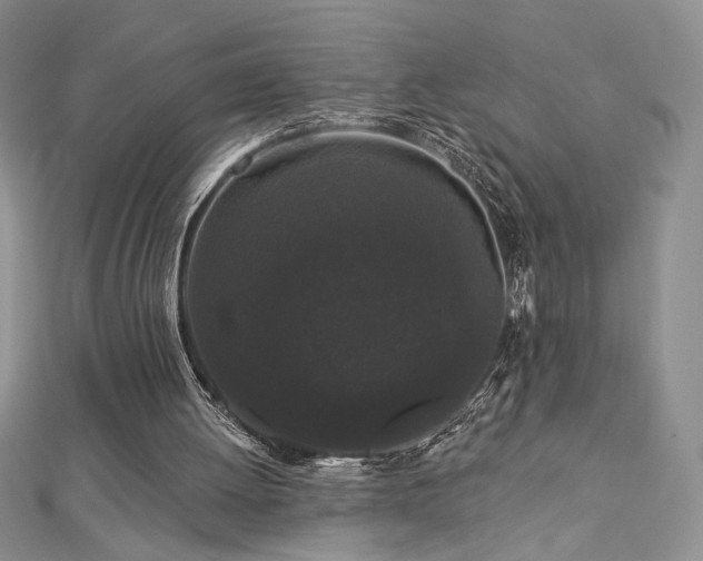 X0000113160052200909041304