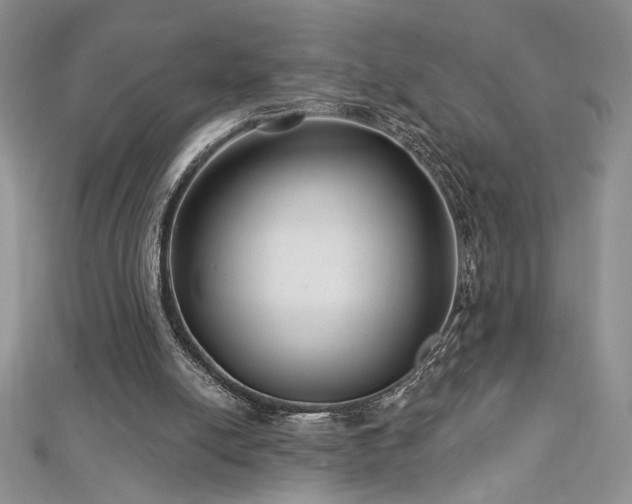 X0000113160054200909041304