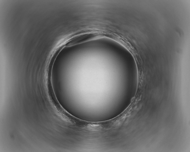 X0000113160055200909041304