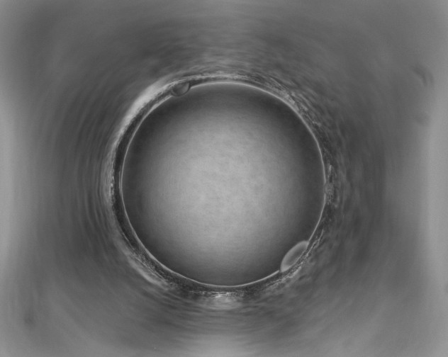 X0000113160056200909041304