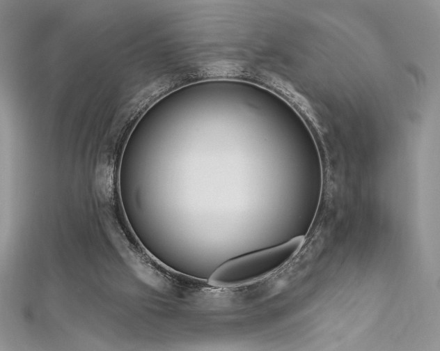 X0000113160057200909041304