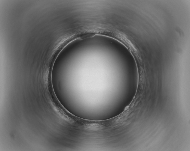 X0000113160058200909041304