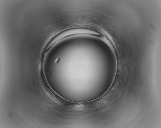 X0000113160059200909041304