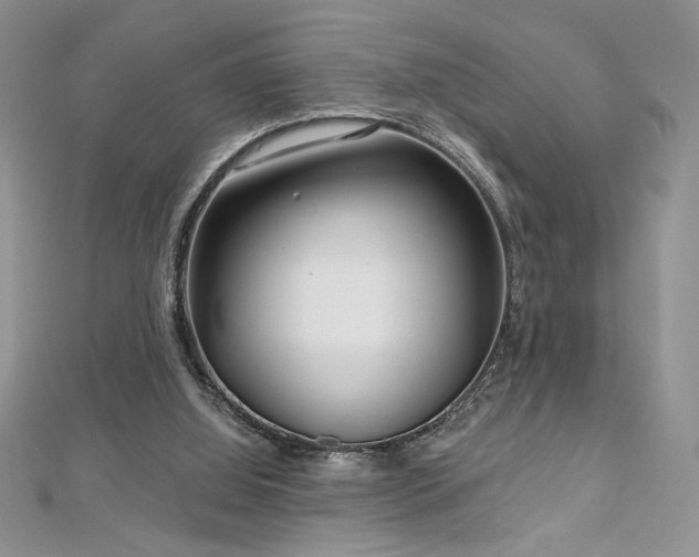 X0000113160060200909041304