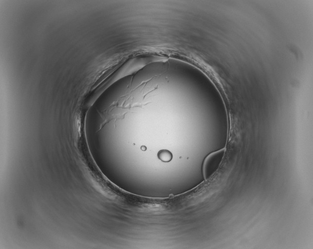 X0000113160061200909041304