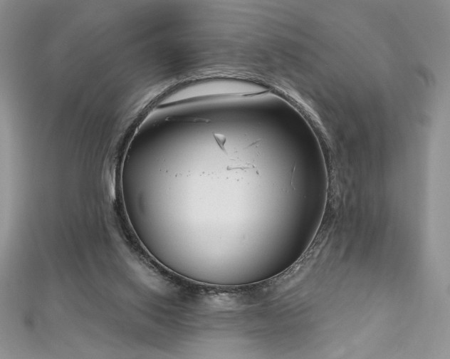 X0000113160062200909041304