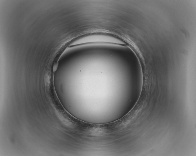 X0000113160063200909041304