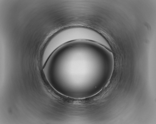 X0000113160064200909041304