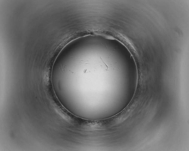 X0000113160065200909041304