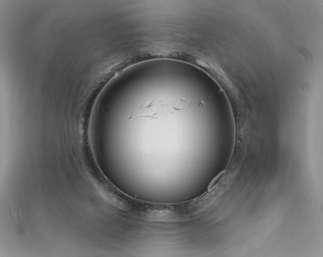 X0000113160066200909041304