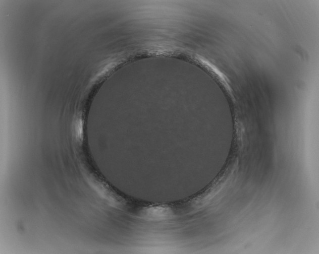 X0000113160067200909041304