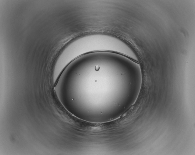 X0000113160068200909041304