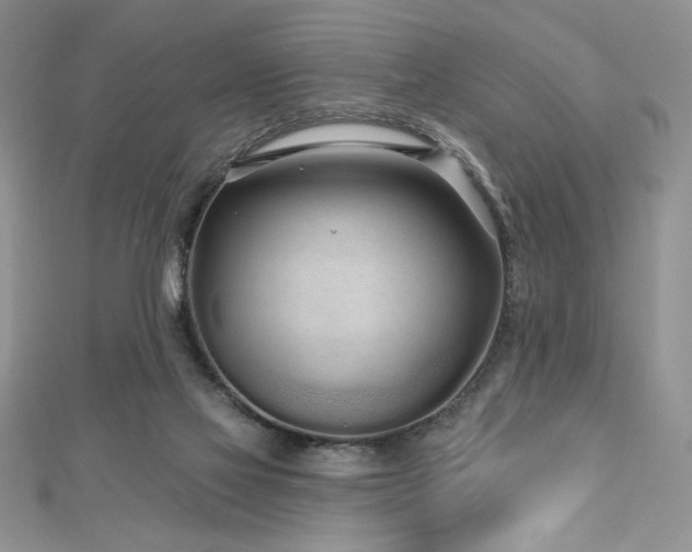 X0000113160069200909041304