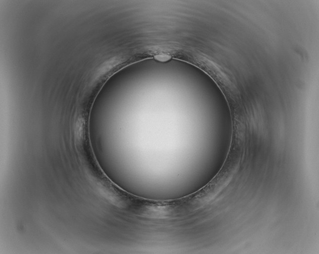 X0000113160071200909041304