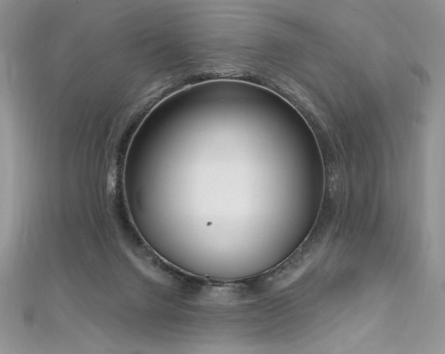 X0000113160072200909041304