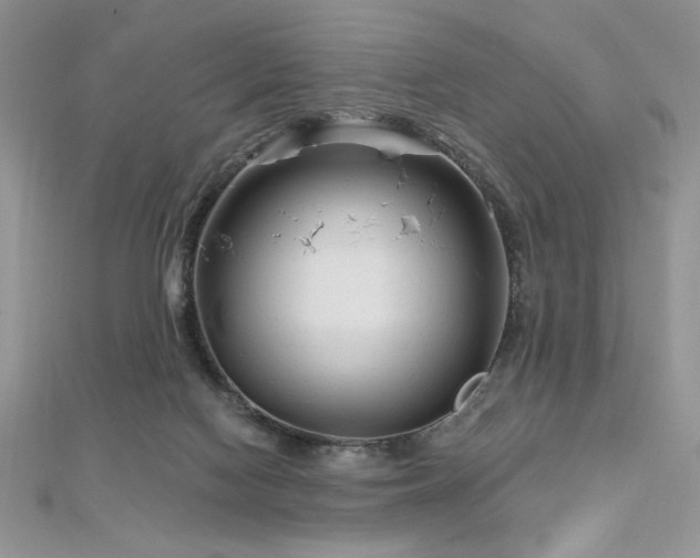 X0000113160074200909041304