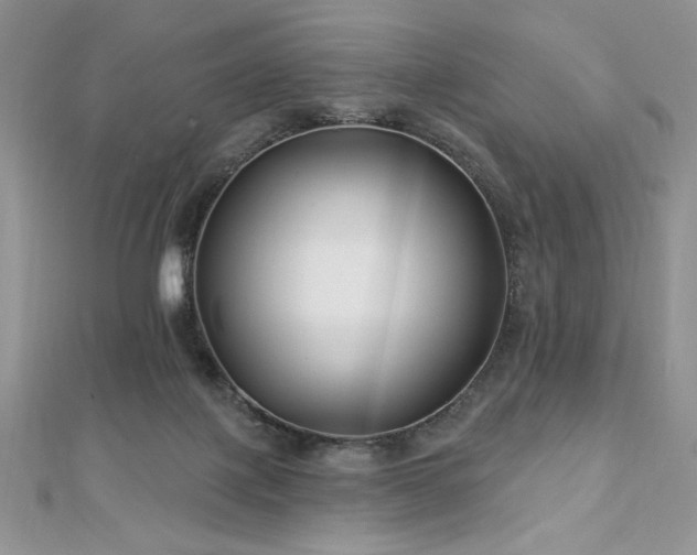 X0000113160075200909041304