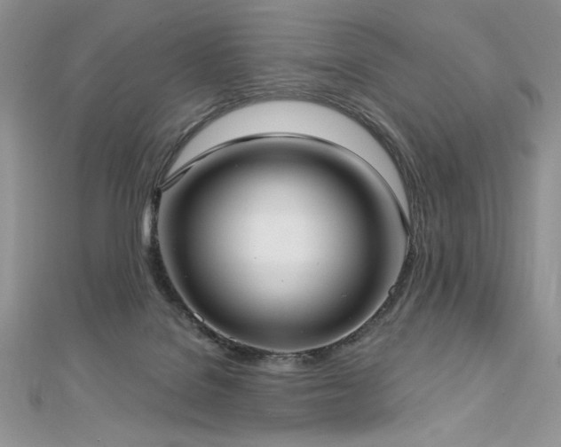 X0000113160076200909041304