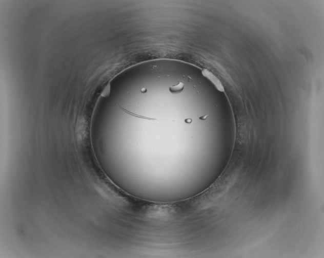 X0000113160077200909041304