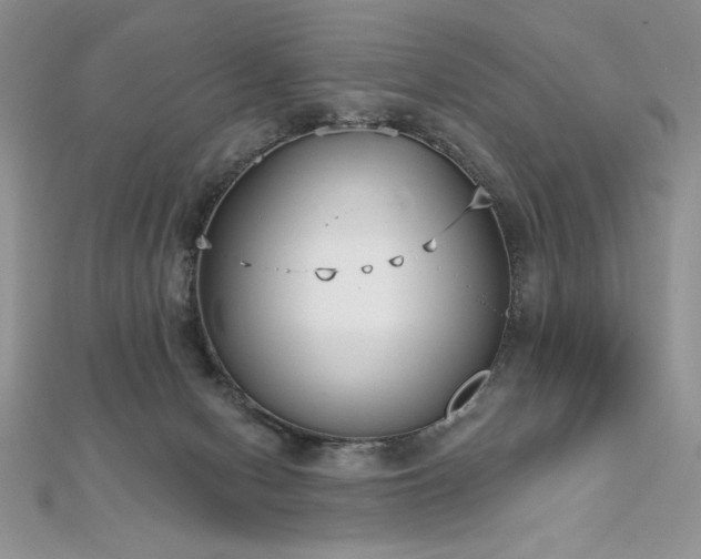 X0000113160078200909041304